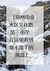 郑州市金水区文化路第三小学：在这里看到拳不离手的风景